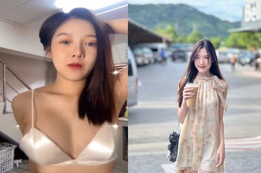Чувствительное видео Viet Hang было выпущено близким другом